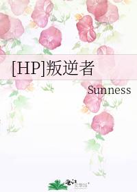 hp叛逆者为什么锁文