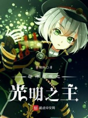 超神学院之光明之主 小说