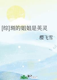 综斑的姐姐是英灵 小说