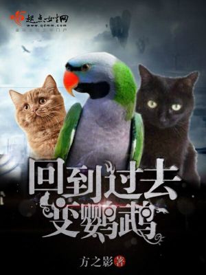 回到过去变成猫讲的是什么