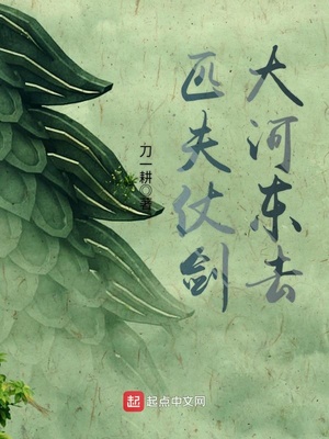 匹夫仗剑大河东去完结了吗