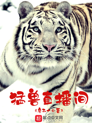 猛兽直播间笔趣阁