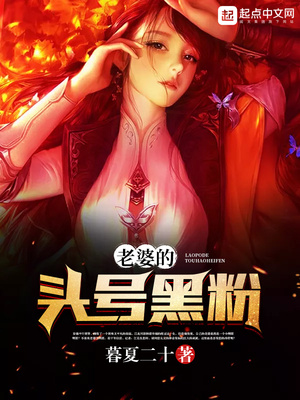 老婆的头号黑粉好看吗