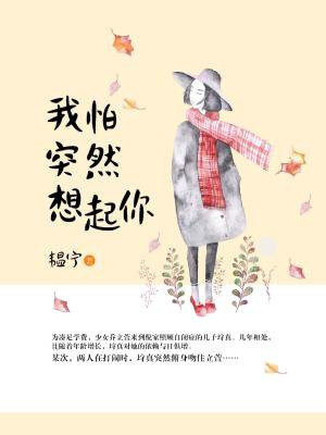 我怕突然想起你第二部