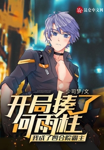 开局揍了何雨柱我成了四合院霸主