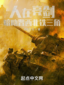 人在亮剑,暗助晋西北铁三角笔趣趣