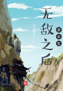 无敌之后的小说