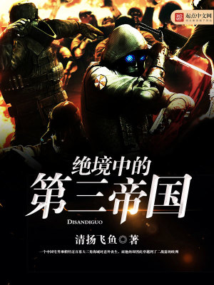 绝境中的第三帝国小说下载