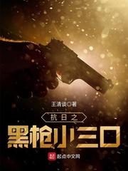 抗日之一枪一个 小说