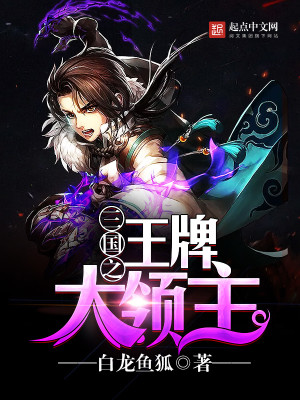 三国之王牌大领主破其心防
