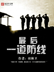 最后一道防线司法