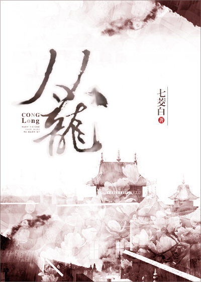 从龙之功