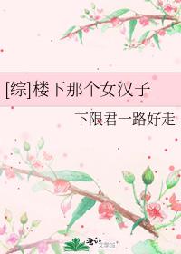 楼下那个女人全文免费阅读