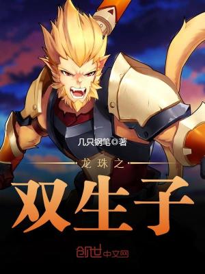 龙珠之双生子笔趣阁