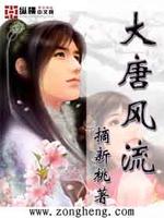 大唐风流军师小说