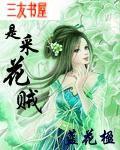 近战保镖叶秋