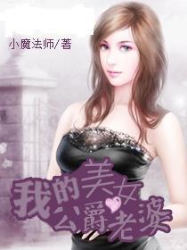 我的美女冰山老婆下载