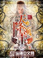 天降领主下载