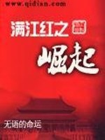 满江红之崛起txt精校版
