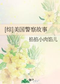 美国警察故事第一季在线观看