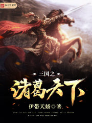 三国之诸葛天下 老叟君