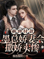 墨总宠妻套路多免费