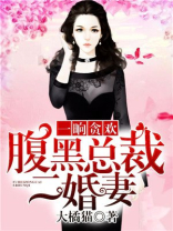 一晌贪欢:腹黑总裁二婚妻