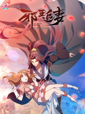邪王追妻多少字