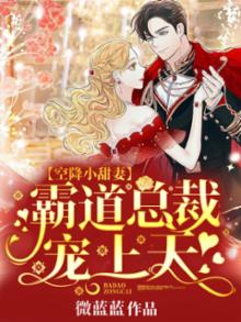 空降萌宝霸道总裁