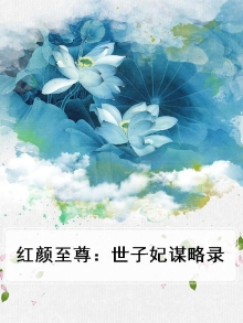 红颜至尊小说