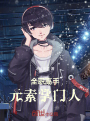 全职高手:元素掌门人