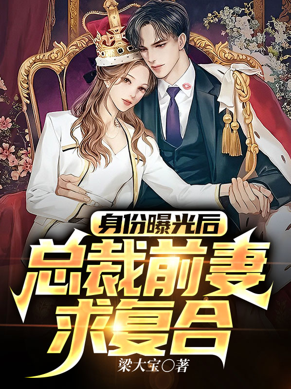 总裁前妻很神秘