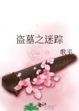 盗墓迷踪小说