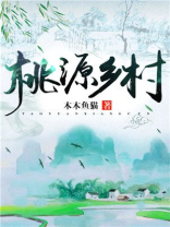 桃源乡村的小说