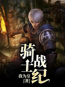 骑士战争