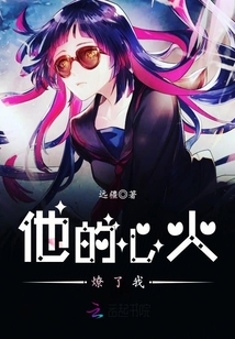 他似心火燎原小说全文免费阅读
