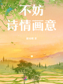 诗情画意小说
