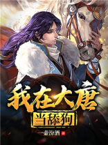 我在大唐当侯爷免费阅读笔趣阁