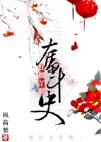 红楼丫鬟奋斗史网盘下载