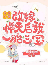 九零悍妻巧当家免费阅读