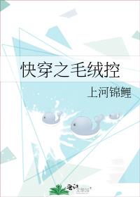 快穿之毛绒控免费阅读