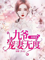 一夜锁情九爷宠妻无度 小说