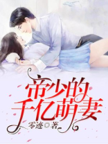 一夜锁情,总裁先生请温柔