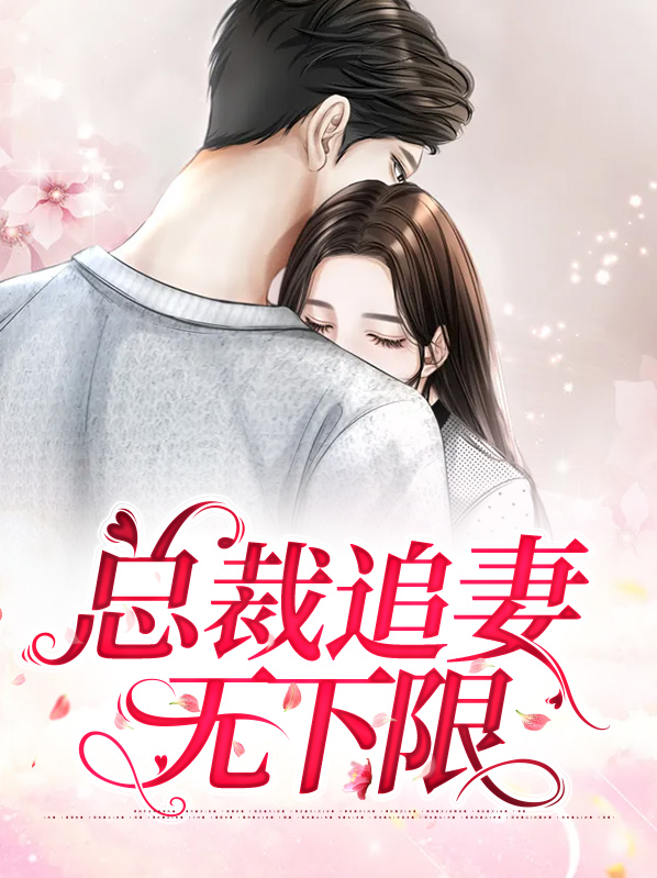 总裁追妻无下限
