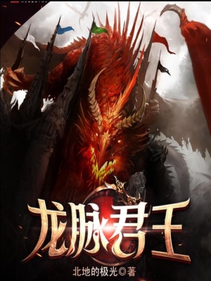 龙脉君王小说