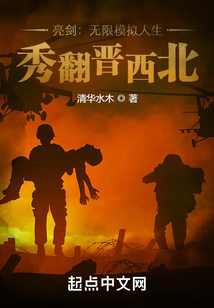 亮剑：无限模拟人生，秀翻晋西北