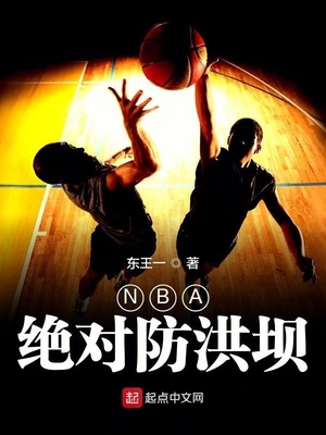 NBA绝对防洪坝TXT下载