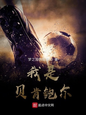 我是贝肯鲍尔 小说