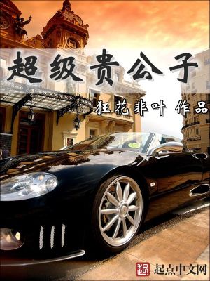 超级贵公子电视剧