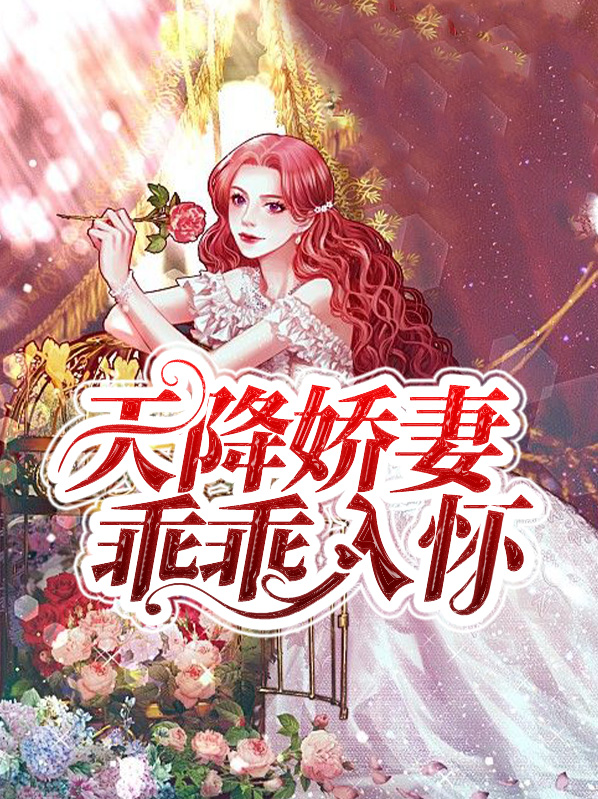天降娇妻有点凶全文免费阅读
